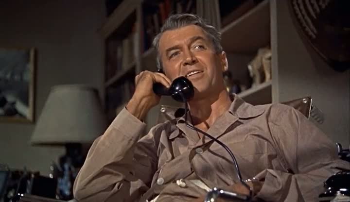 Rear Window (1954)