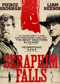 Seraphim Falls (2006) BRRip 420p 300MB Dual Audio 1