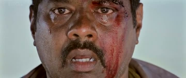 The Attacks of 26 11 (2013)