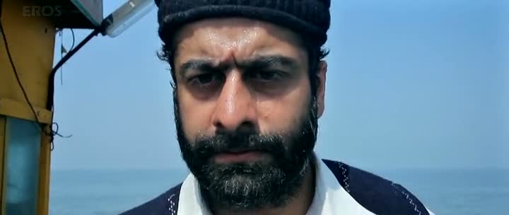 The Attacks of 26 11 (2013)