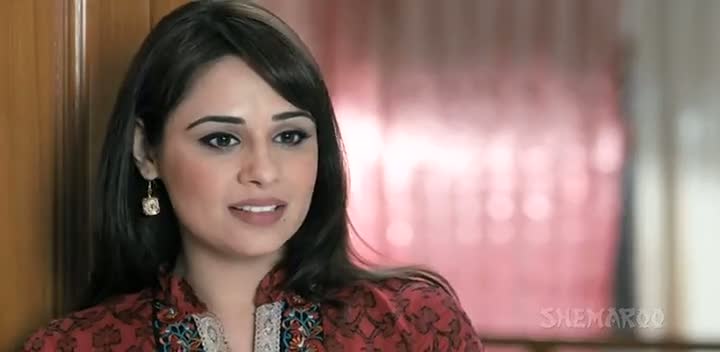 Tu Mera 22 Main Tera 22 (2013) 