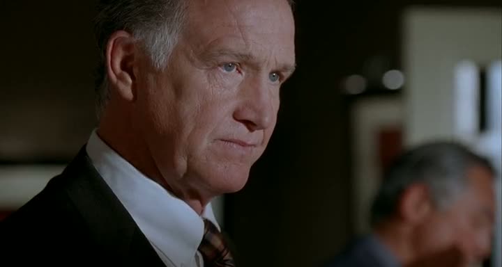 Code Name: The Cleaner (2007) 300MB