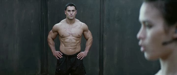 Man of Tai Chi (2013)