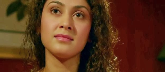 Warning (2013) Hindi Movie DVDRip