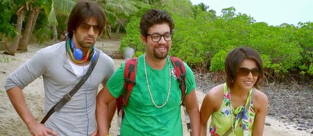 Warning (2013) Hindi Movie DVDRip