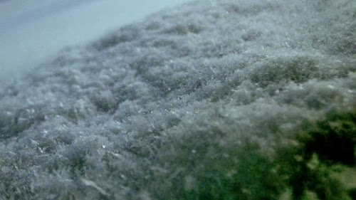 Into the Mind (2013)