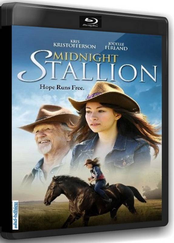 Midnight Stallion (2013)