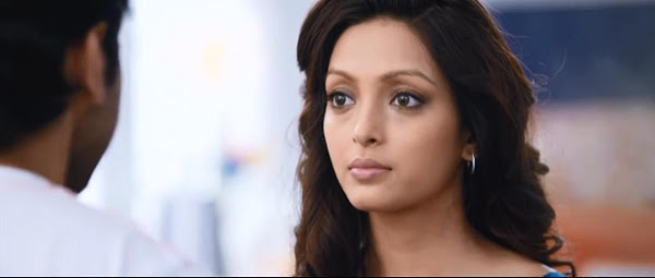 Nautanki Saala (2013) Hindi Movie DVDRip