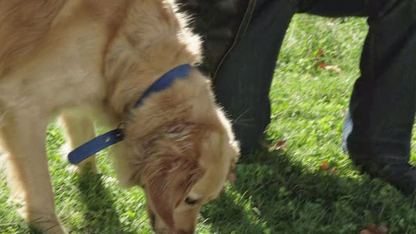 So This Is Christmas (2013)