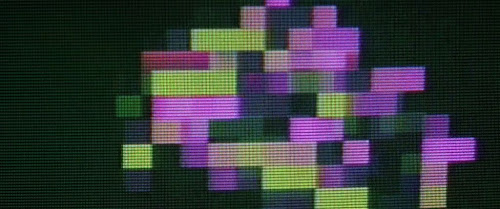 The Kings of Summer (2013)