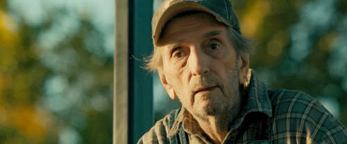 The Last Stand (2013) Dual Audio BRRip HD 720P