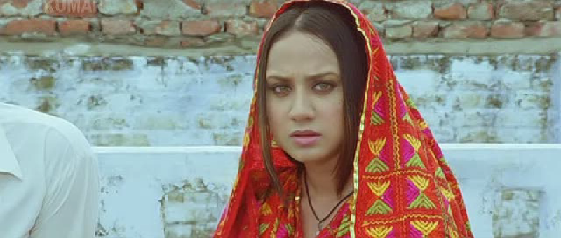 The Lion Of Punjab (2011)