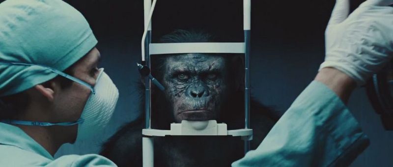 Watch Online Rise of the Planet of the Apes (2011)