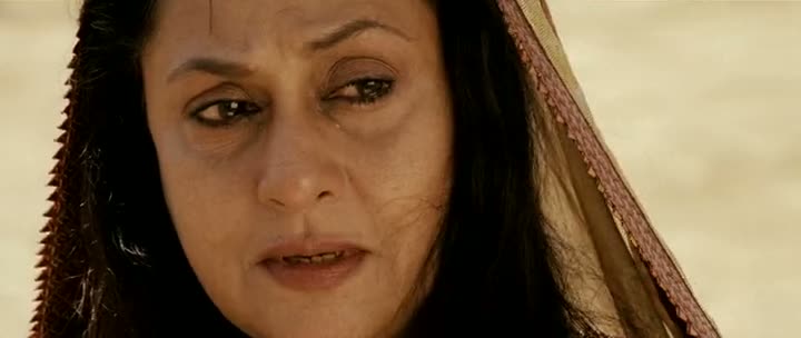 Drona (2008) Hindi Movie