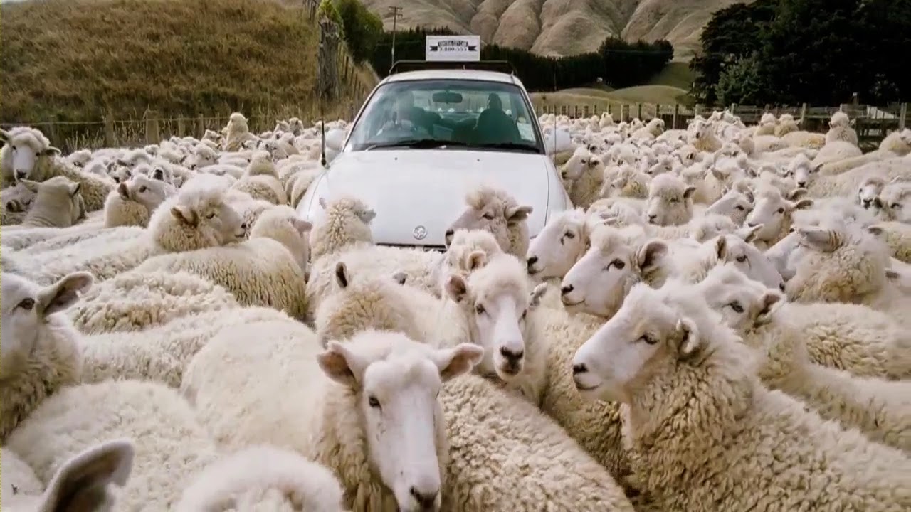 Black Sheep (2006)