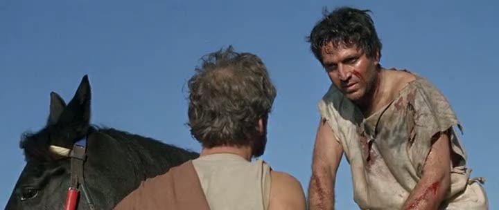 The 300 Spartans (1962)