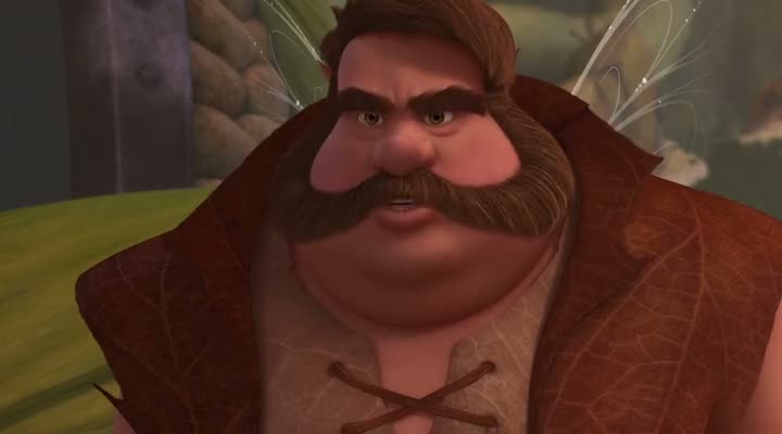 The Pirate Fairy (2014)