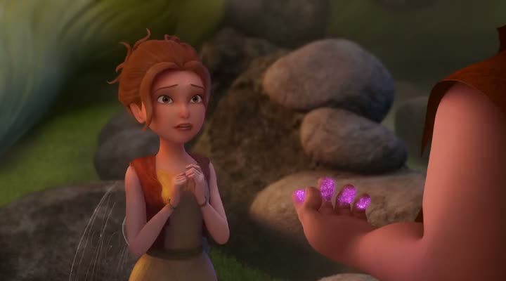 The Pirate Fairy (2014)