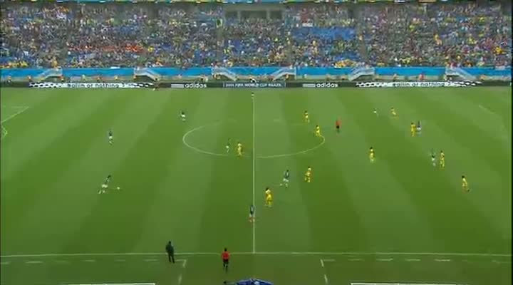 Fifa World Cup (2014)