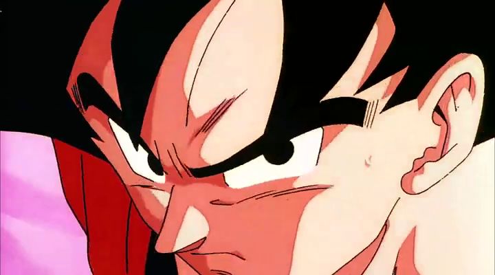 Dragon Ball Z Fusion Reborn (1995)