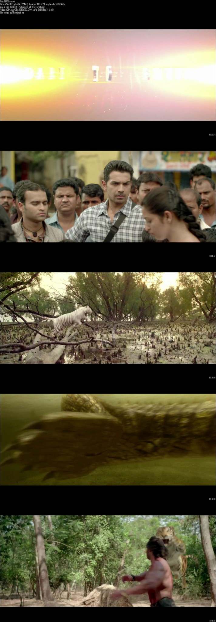 Tigers Of The Sundarbans (2014)