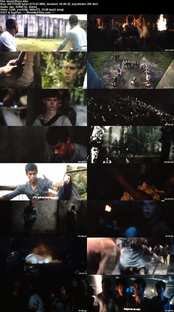 The Maze Runner 2014