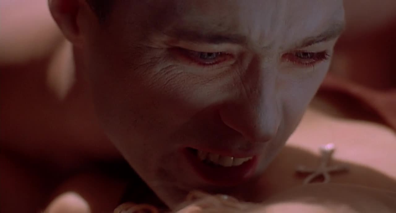 Embrace of the Vampire (1995)