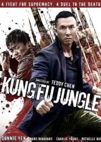 Kung Fu Killer (2014) Dual Audio Download HD 480p 250MB
