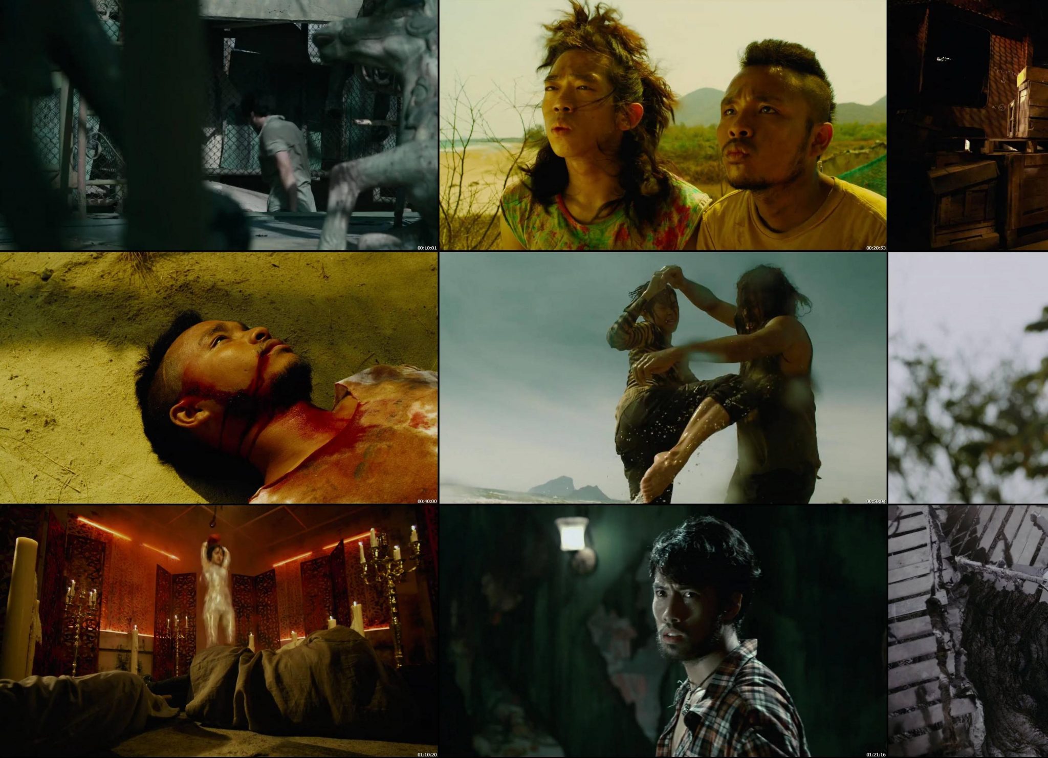 Raging Phoenix (2009)-1