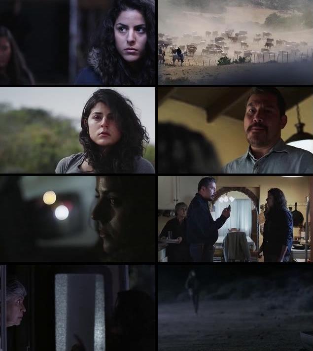 Hostile Border 2015-2