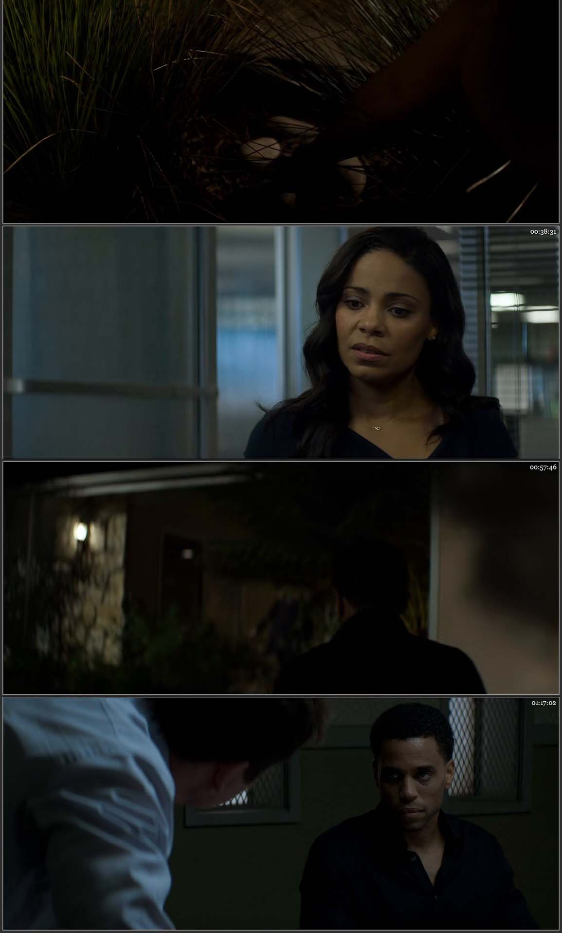 The Perfect Guy (2015)