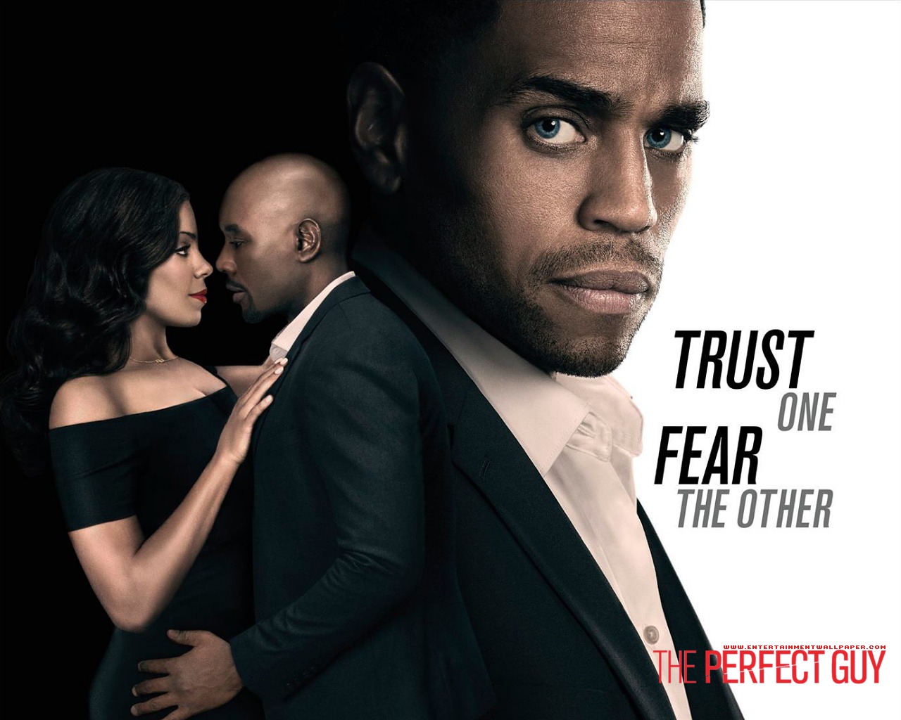 The Perfect Guy (2015)-2