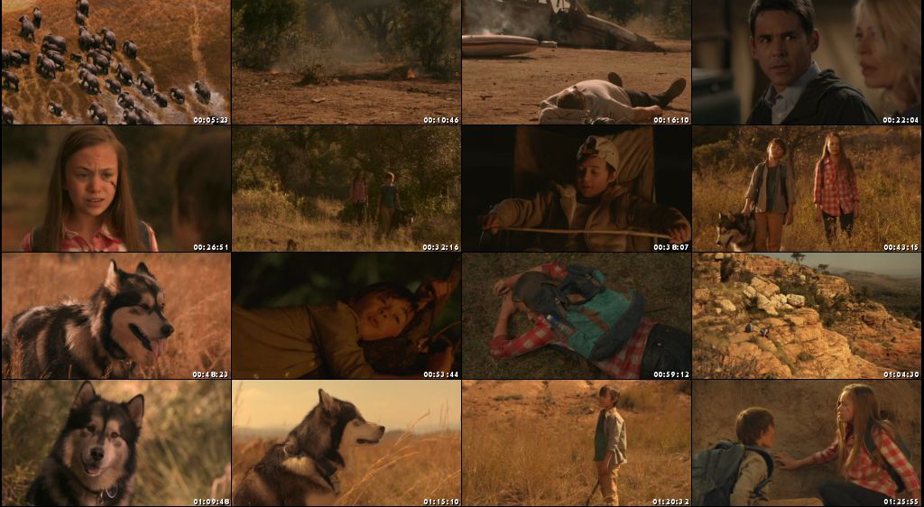 Against the Wild 2 Survive the Serengeti (2016)-