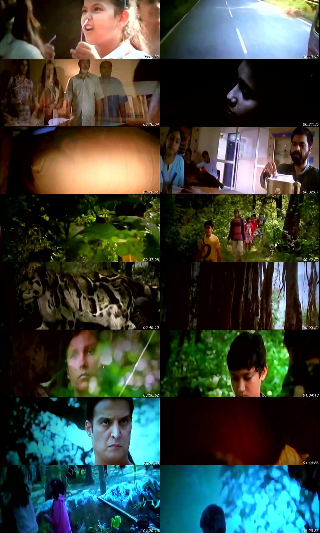 Shortcut Safari (2016)-2