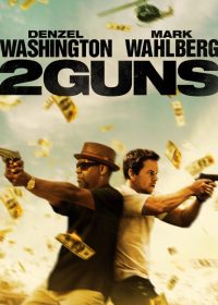 2 Guns 2013 Dual Audio BluRay 720p