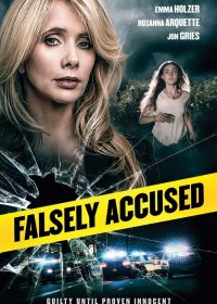 Falsely Accused 2016 HDRip 450MB