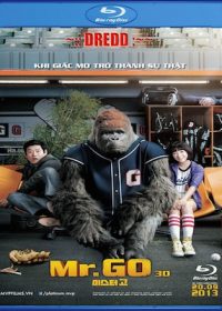 Mr Go 2013 Dual Audio