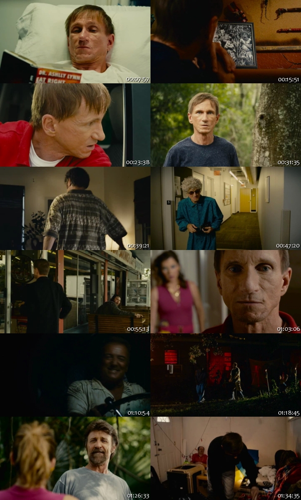 Stressed to Kill (2016)-2