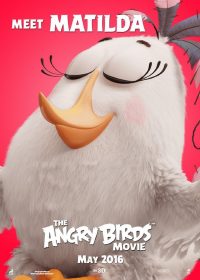 Angry.Birds .2016 8 1