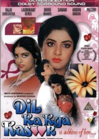 Dil Ka Kya Kasoor 1992