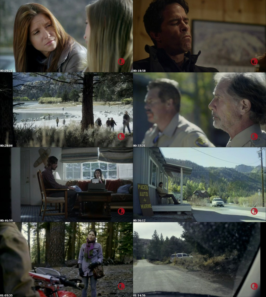 Hidden Truth (2016) DVDScr 450MB-2