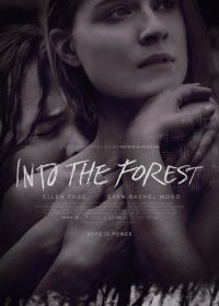 IntotheForest