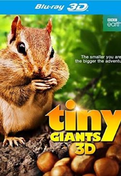 Tiny Giants 2014 English 720p BRRip 200MB