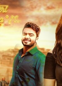 Main Teri Tu Mera 2016