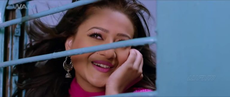 dil-saala-sanki-2016-hindi-hdrip-720p-3