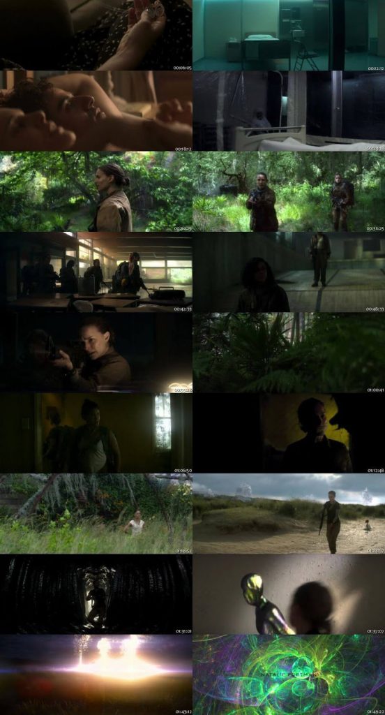 Annihilation 2018 English 250MB WEBRip 480p MSubs.