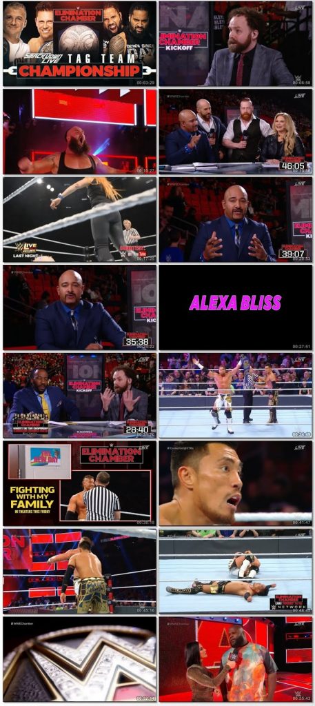 WWE Elimination Chamber (2019)