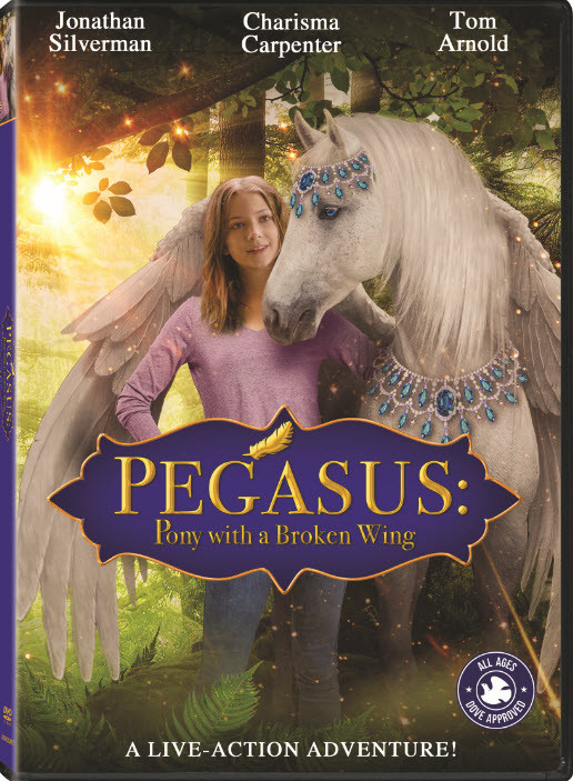 Pegasus Pony with a Broken Wing 2019 English 720p HDRip x264 800MB