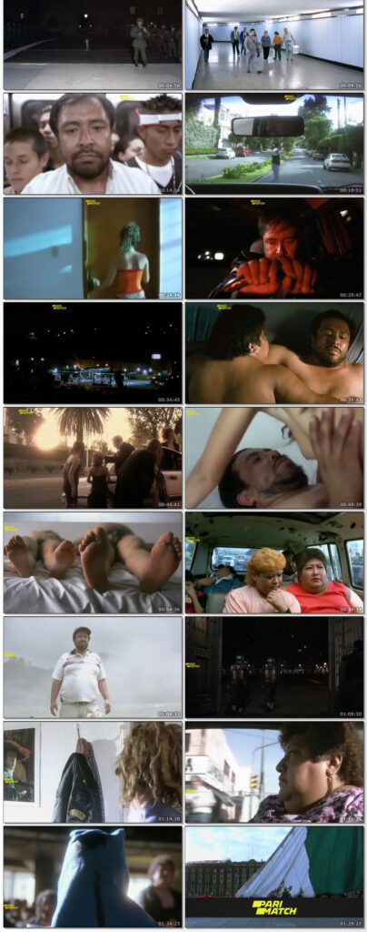 Battle in Heaven 2005 Dual Audio Hindi 300MB DVDRip 480p Full Movie..