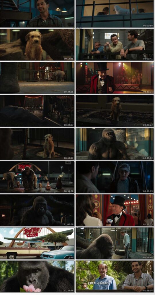 The One and Only Ivan 2020 English 300MB HDRip 480p ESubs Download..